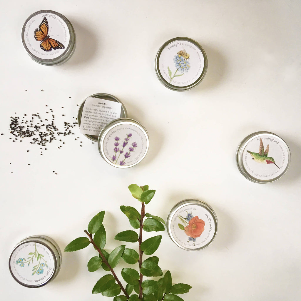 Garden Sprinkles | Lavender | Best Seller