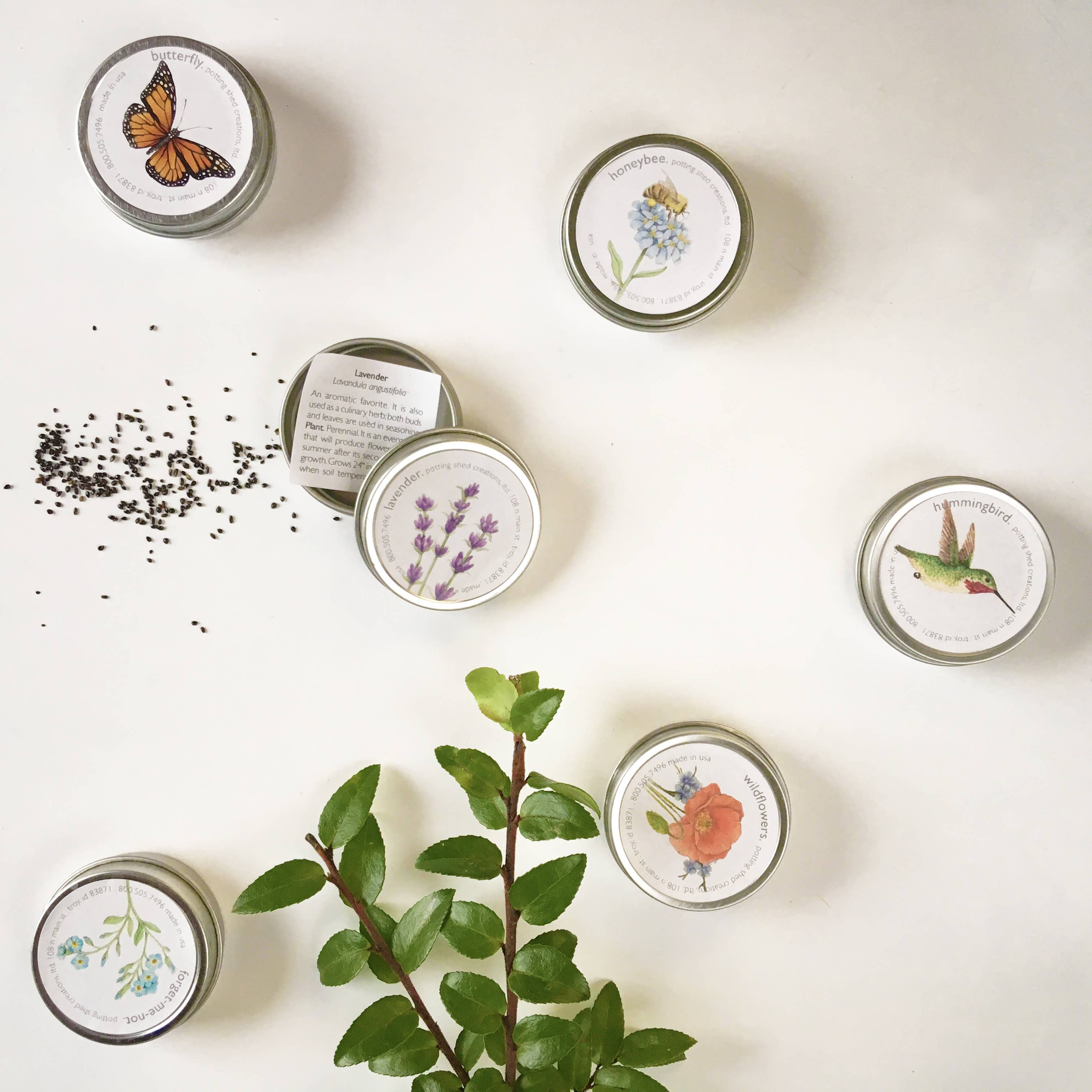 Garden Sprinkles | Lavender | Best Seller