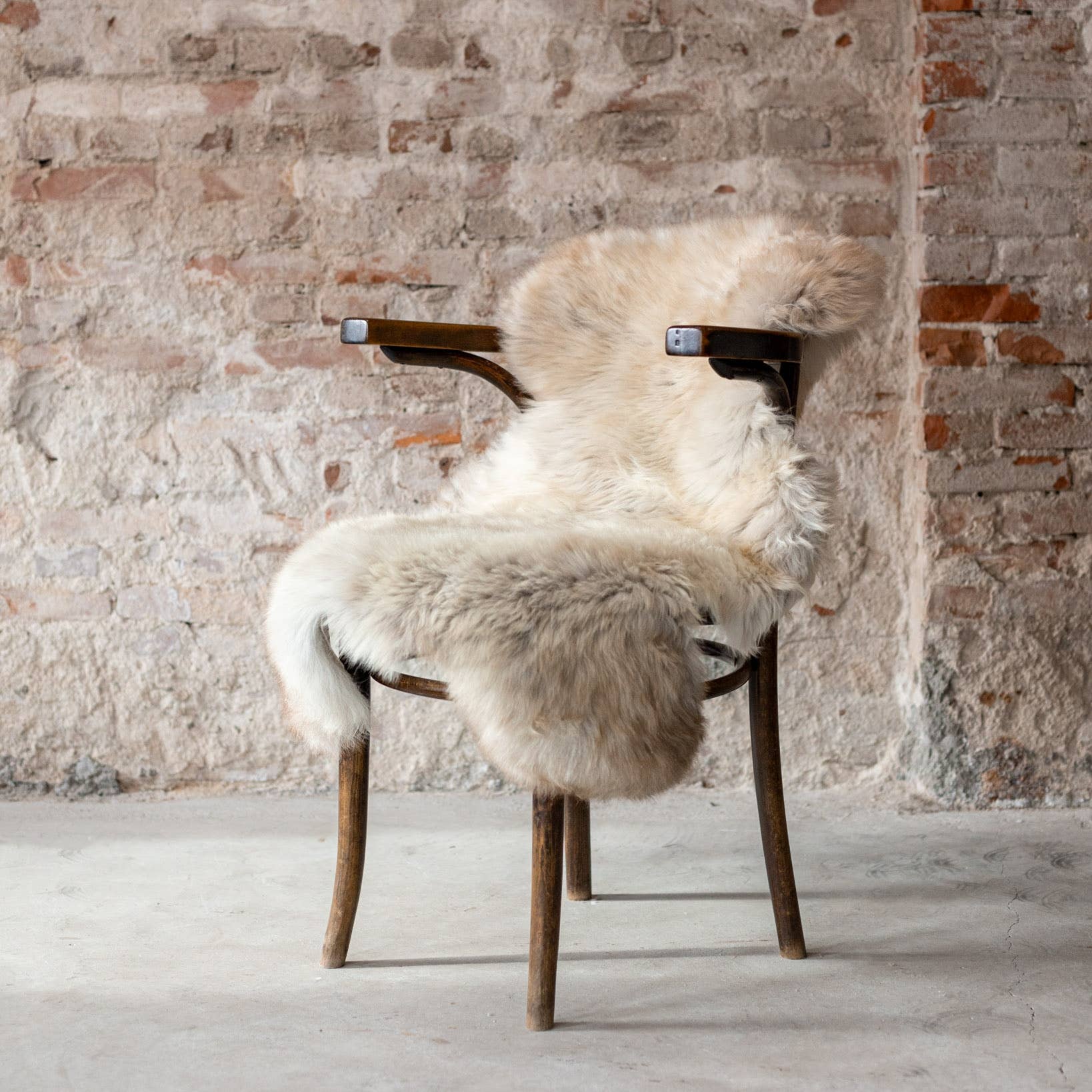 Texel sheepskin mottled: GR 1