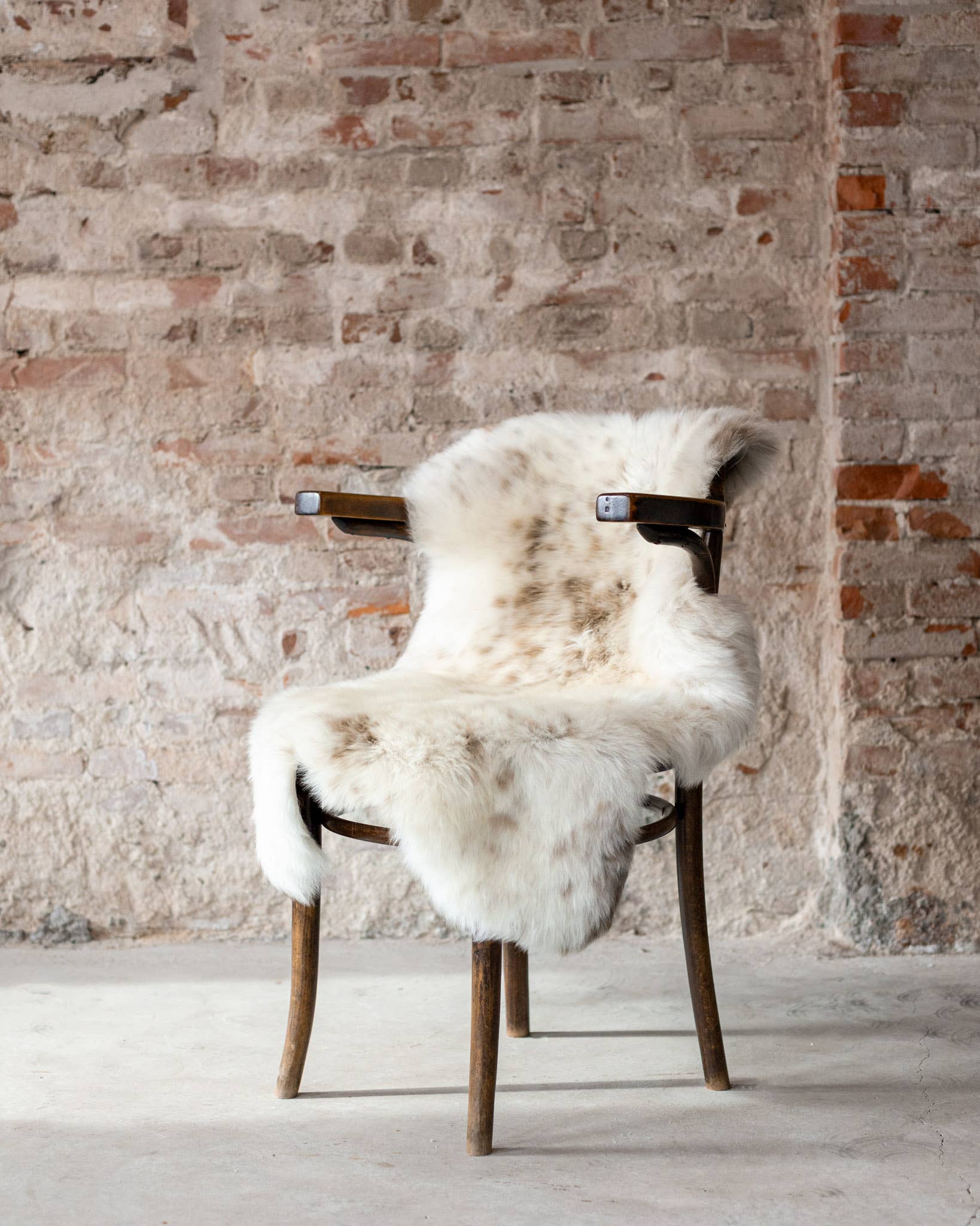 Texel sheepskin mottled: GR S
