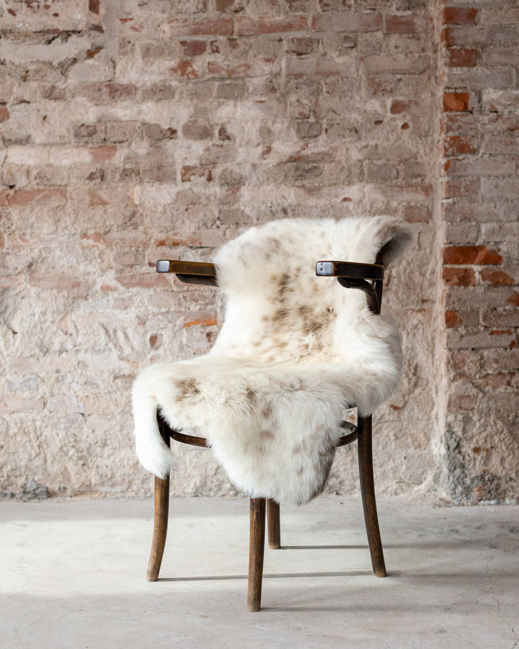 Texel sheepskin mottled: GR 1