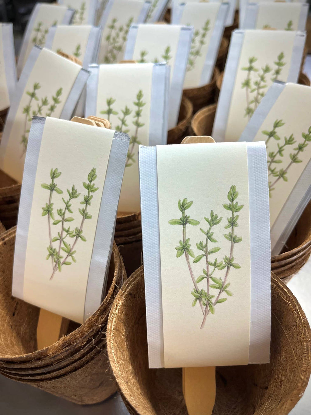 NEW Culinary Herb Garden Box | Holiday Gift for Gardeners