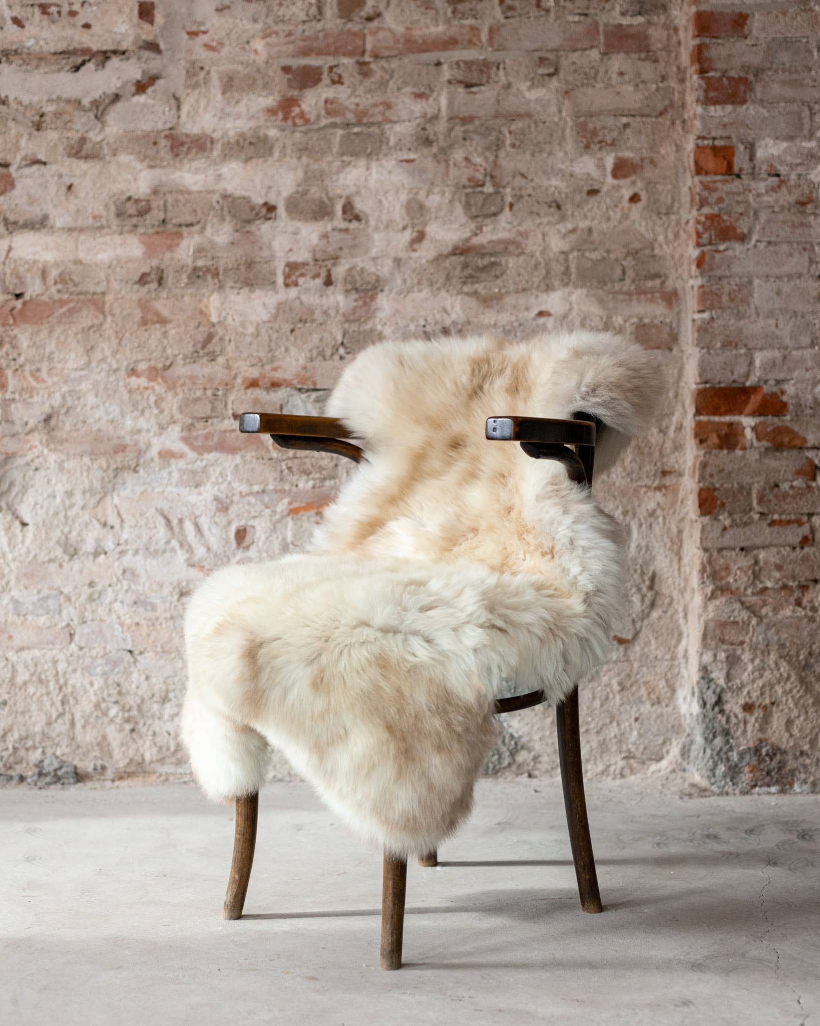 Texel sheepskin mottled: GR 1