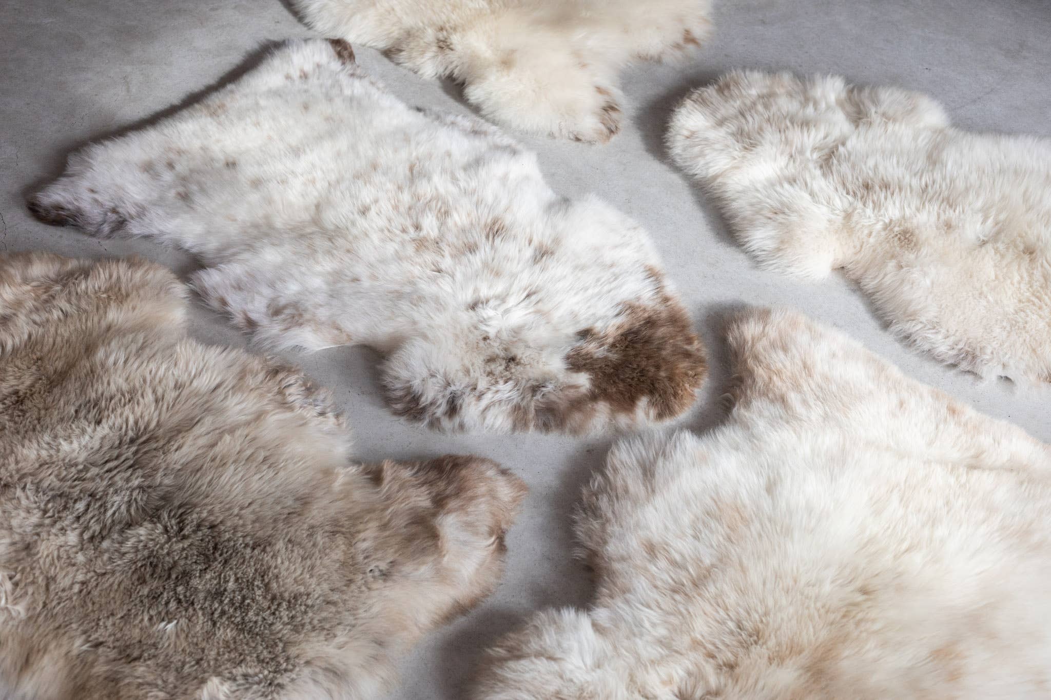 Texel sheepskin mottled: GR S