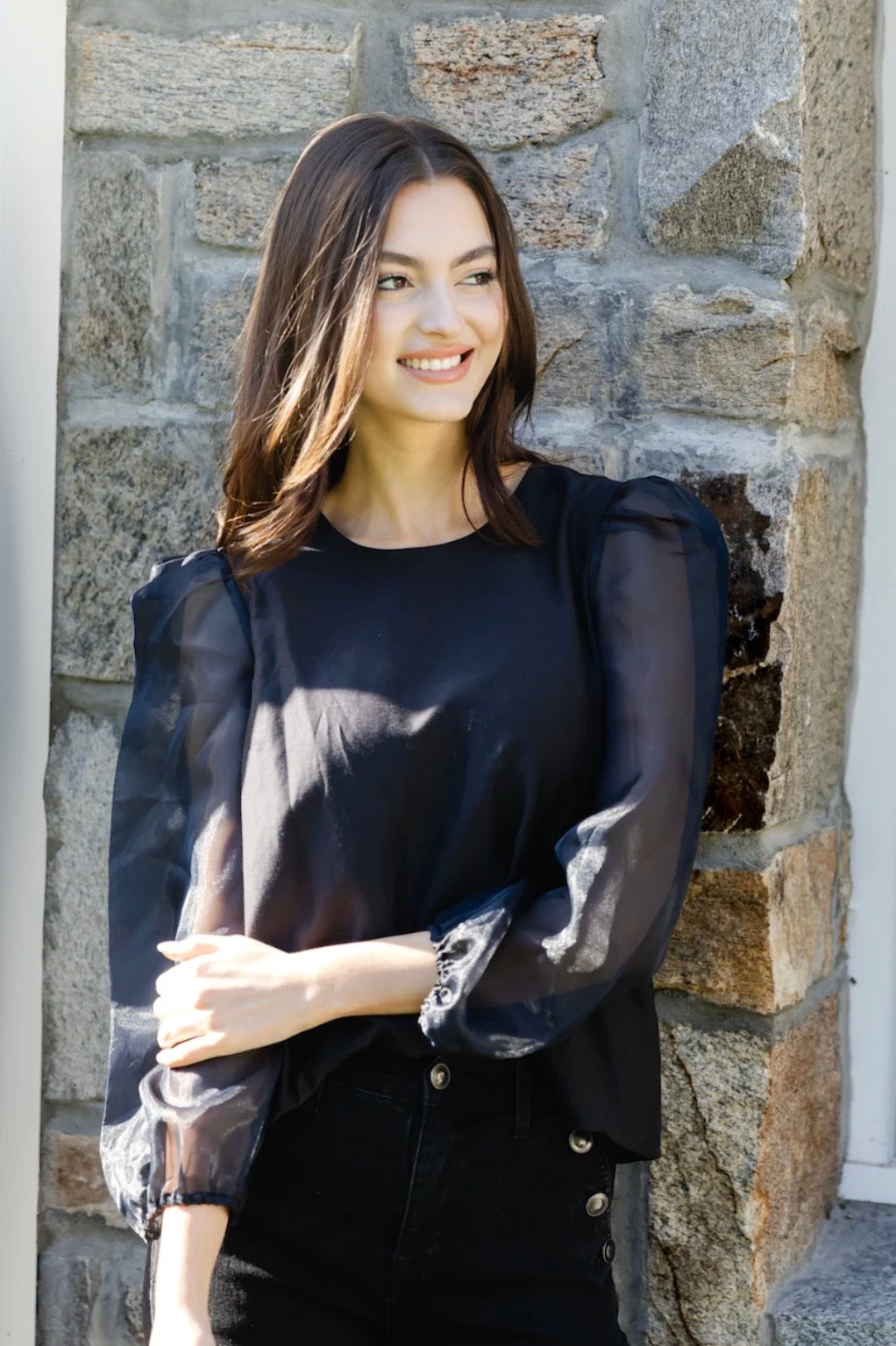 Sheer Puff Sleeve Top Black