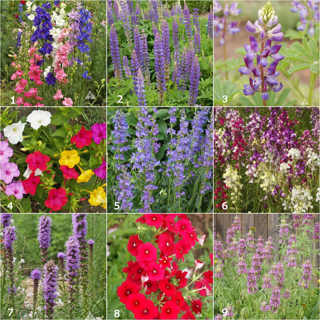 Garden Sprinkles | Hummingbird | Bird lovers | Best Seller