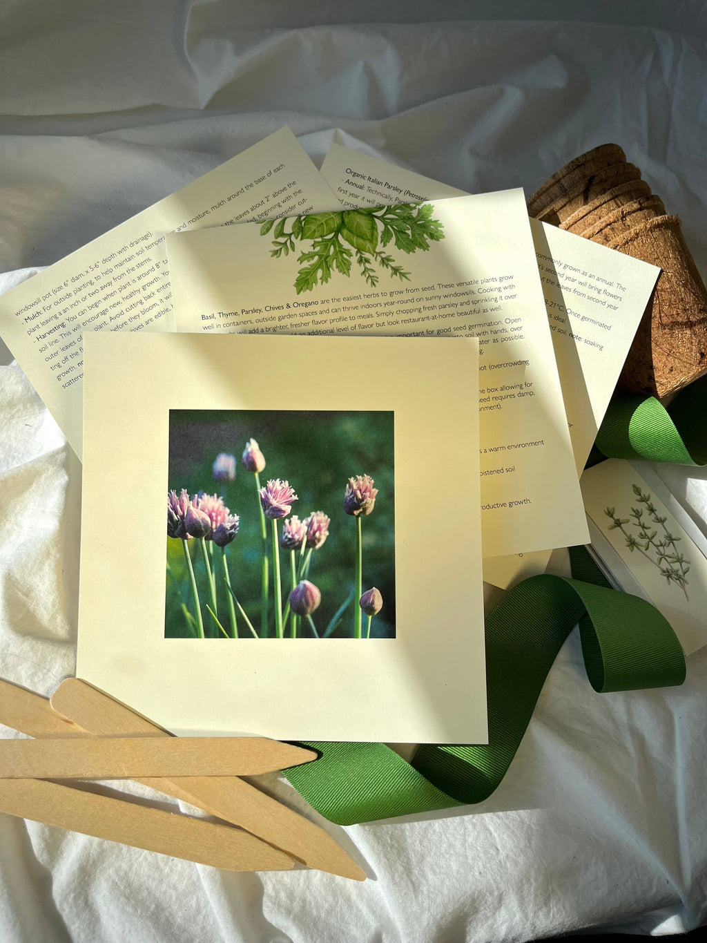 NEW Culinary Herb Garden Box | Holiday Gift for Gardeners