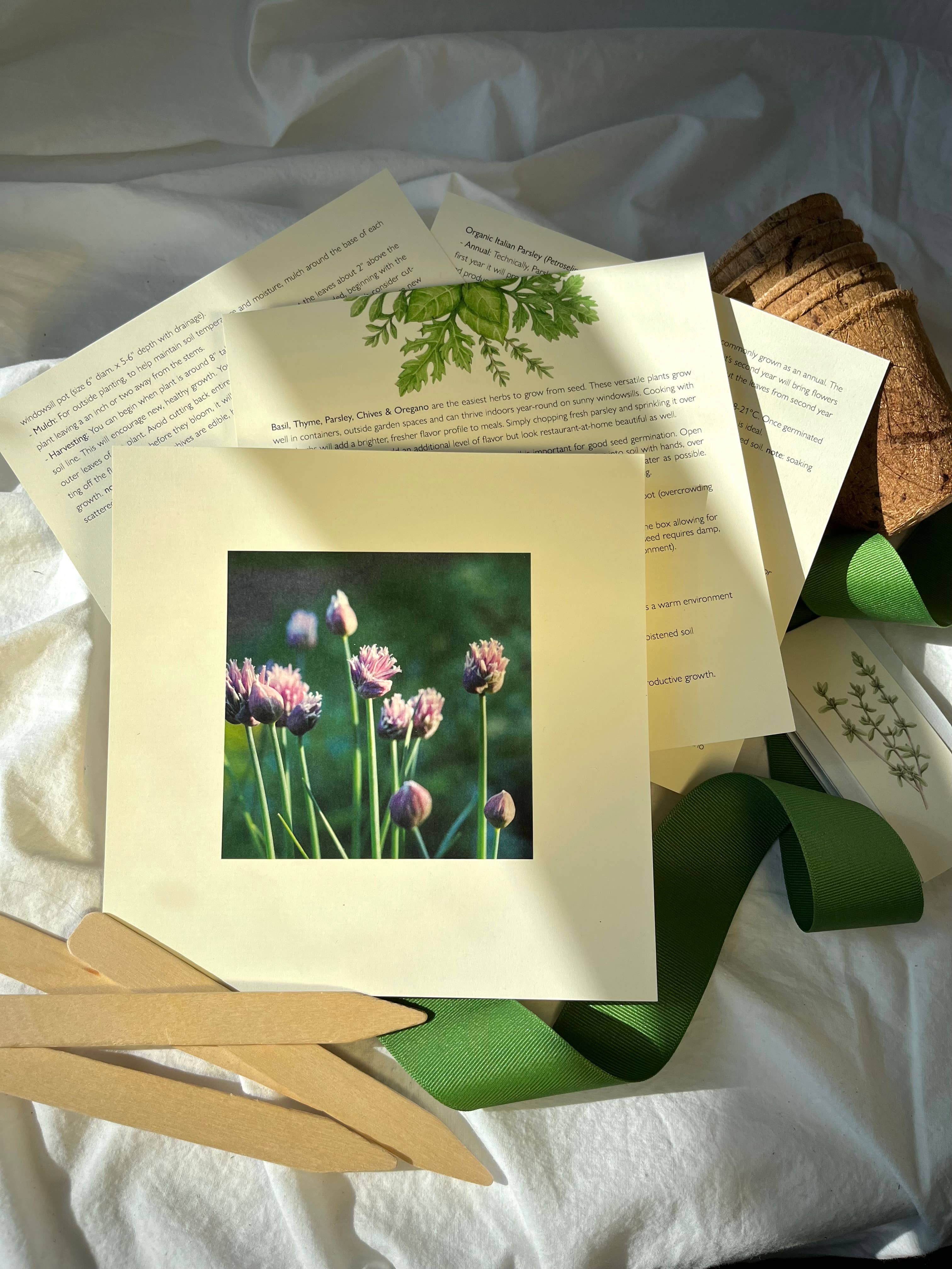 NEW Culinary Herb Garden Box | Holiday Gift for Gardeners