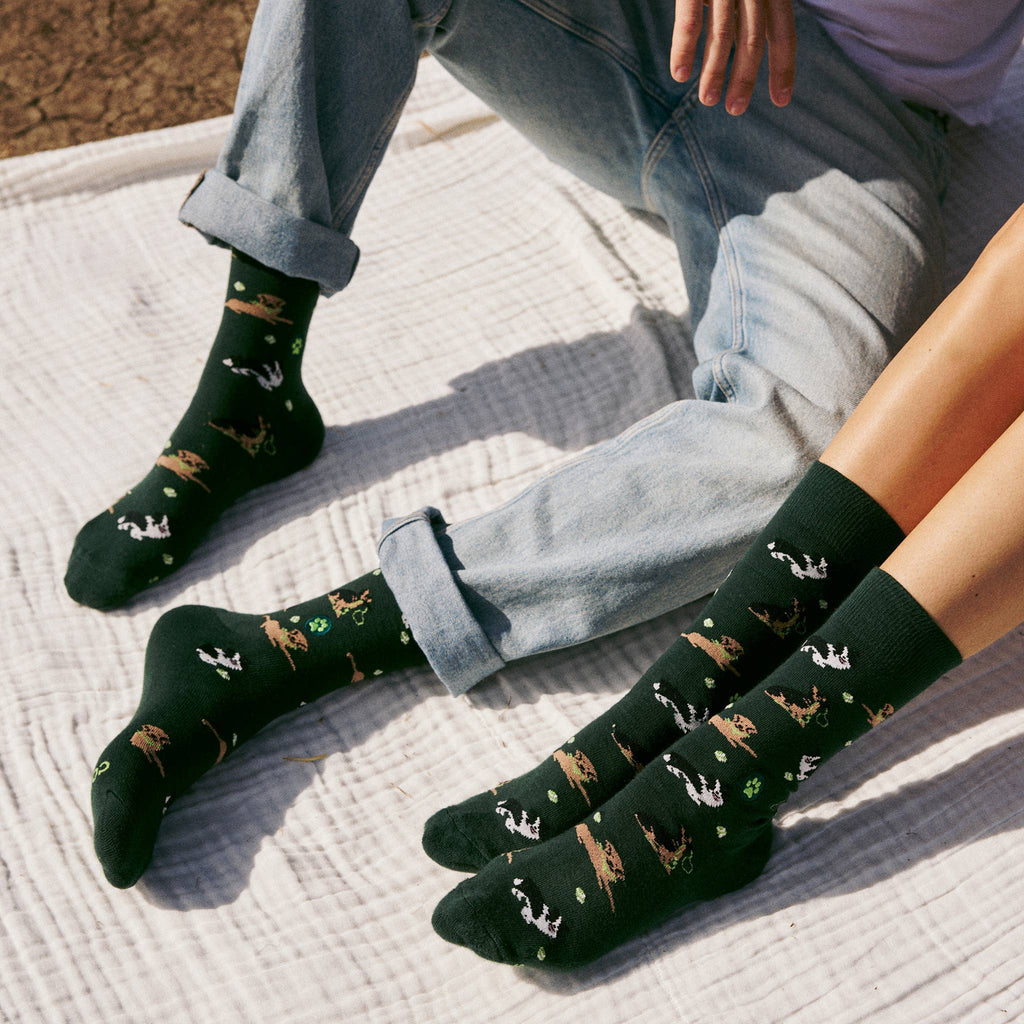 Socks that Save Dogs (Go Fetch): Medium