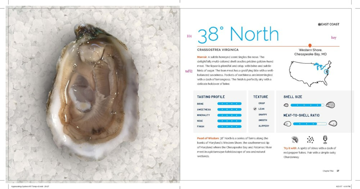 Appreciating Oysters: Hardcover