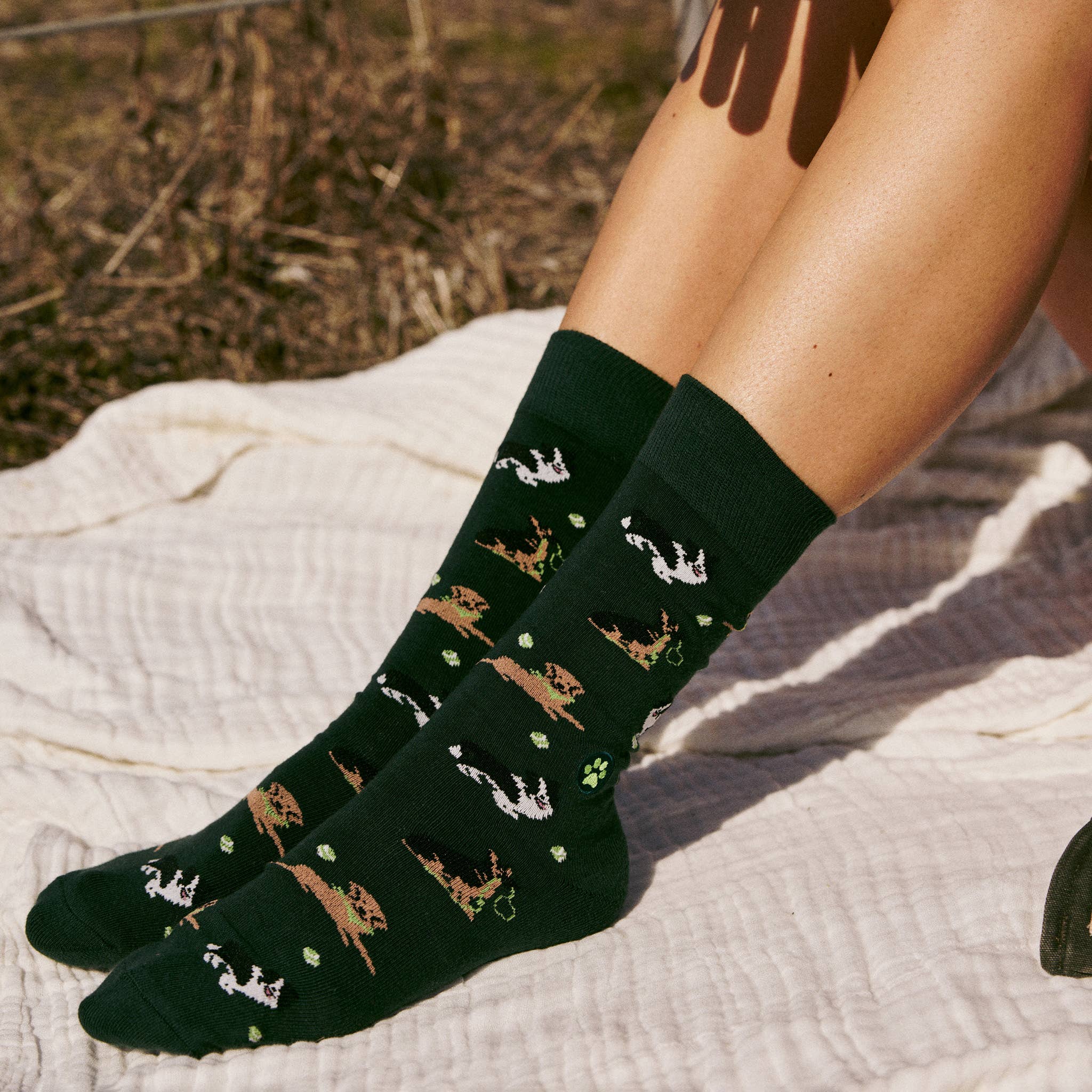 Socks that Save Dogs (Go Fetch): Medium