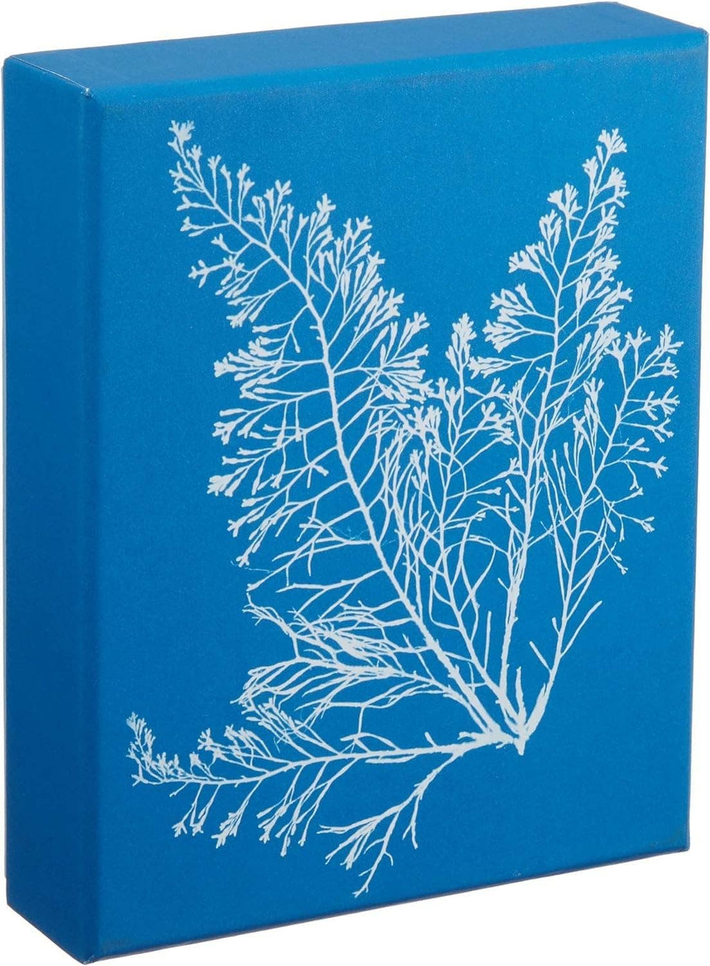 Sunprint Notecards